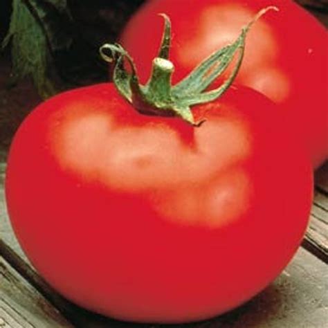 Usa Seller Better Boy Tomato 25 Seeds Hybrid Etsy Better Boy Tomato
