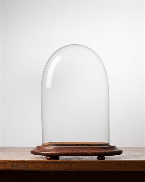 Taxidermy Oval Glass Dome
