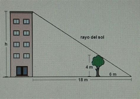 Calcula La Altura Del Edificio Representado En La Siguiente Figura