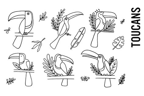 Toucan Tropical Doodle Clipart Custom Designed Illustrations
