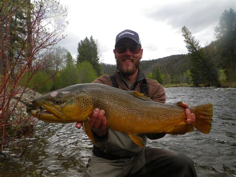 How Do You Define Big Montana Hunting And Fishing