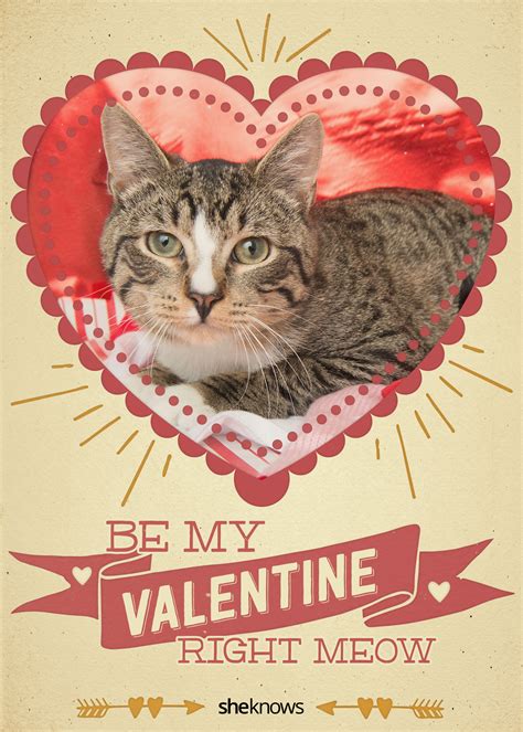 Confetti are always linked to celebrating and love itself should definitely be celebrated like the biggest holiday of the year! 12 Kitty-cat Valentine's Day cards that will make you aww