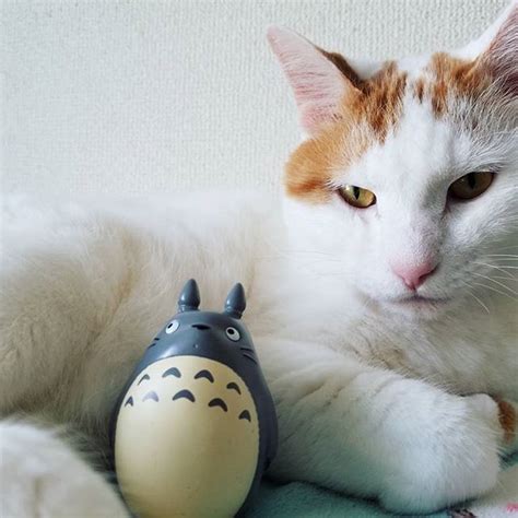 We did not find results for: ジブリ 犬神 125880-ジブリ 犬神 - Jpirasutoubdgfd