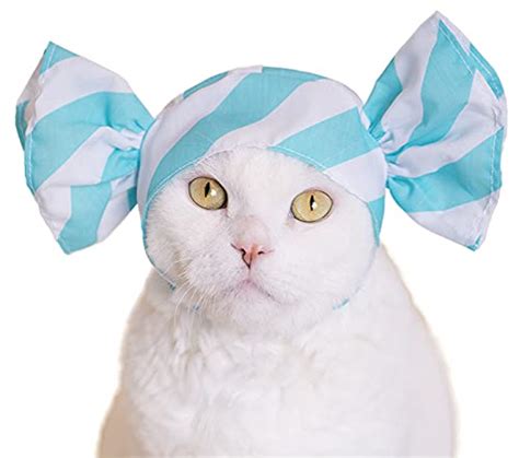 Kitan Club Cat Cap Pet Hat Blind Box Includes 1 Of 6 Cute Styles