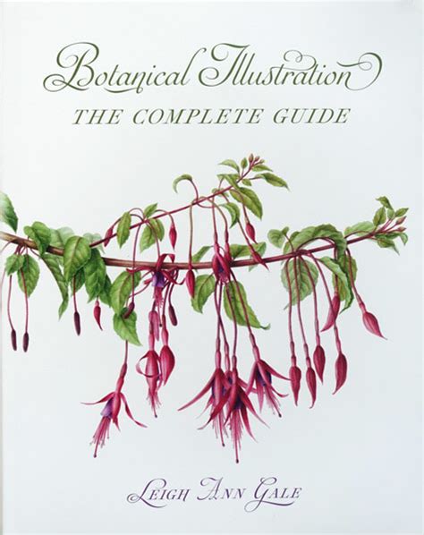 Best Botanical Art Instruction Books Botanical Art And Artists