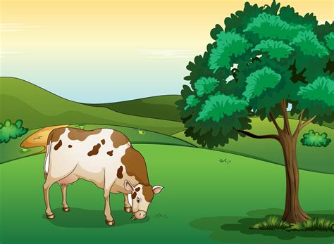 A Cow Eating Grass 522309 Vector Art At Vecteezy