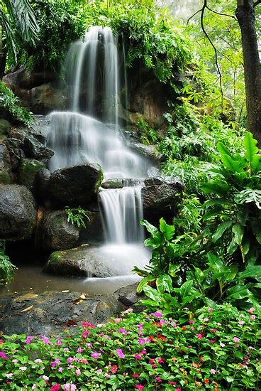 Beautiful Nature Images Waterfall With Flowers Beautiful Nature And