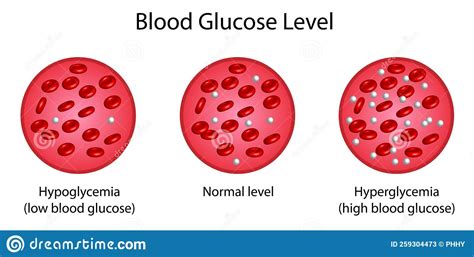 Niveles De Glucosa En Sangre Nivel Normal Hiperglucemia Hipoglucemia Test De Az Car Diagrama