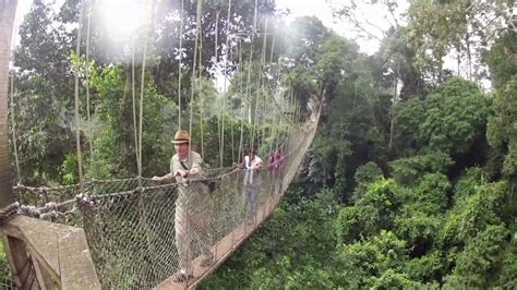Such as a canopy from a doorway to the curb; Canopy Walk Ghana Rev - YouTube