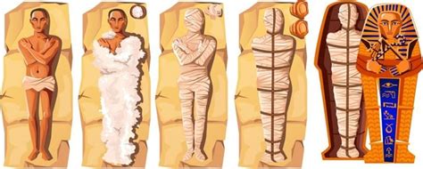 Mummification Process In Ancient Egypt Preparing For The