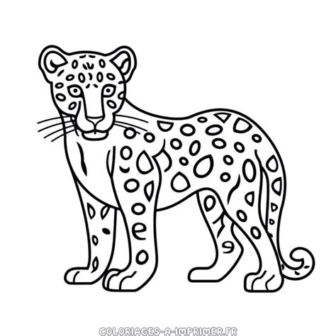 Coloriage Jaguar Coloriages à Imprimer Gratuitement