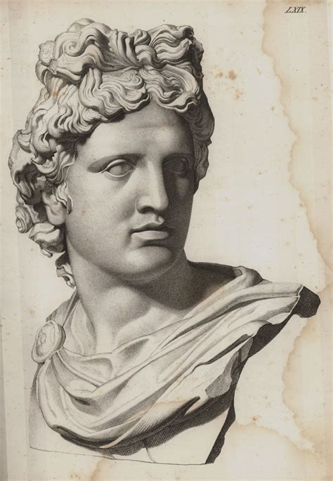 The Head Of The Statue Of Apollo Belvedere Vatican Museum Rome