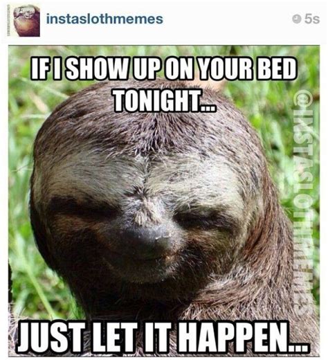 Creepy Sloth Meme