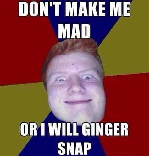Ginger Snap Meme Photos Cantik