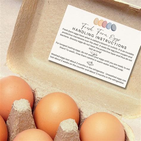 Farm Fresh Eggs Etsy