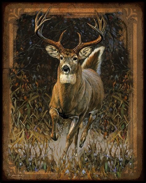 Whitetail Deer Painting By Jq Licensing Fine Art America