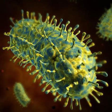 Rabies Virus Vaccine One-step Purification | GALAK Chromato