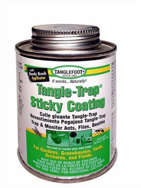 Tanglefoot Brushable 8 Ounce Tangle Trap Sticky Coating For Ants Flies