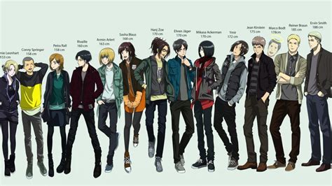 Attack On Titan Characters Height Chart Wallpaper Anime
