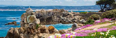Monterey bay inn is decorated in california baja style and features many amenities including a rooftop hot tub that overlooks this ocean bay. Adventures By the Sea in Monterey Special - Monterey Bay Inn