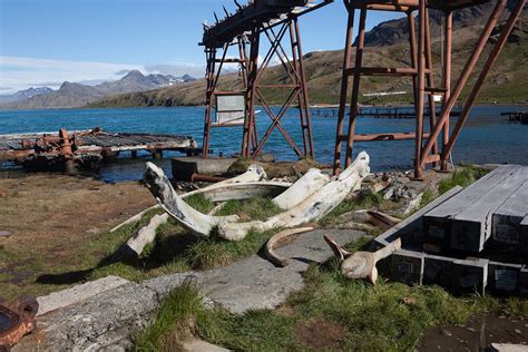 Grytviken South Georgia Antarctica Explore