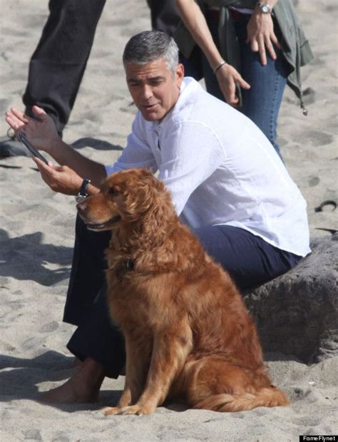 George Clooneys New Best Friend George Clooney Celebrity Dogs George