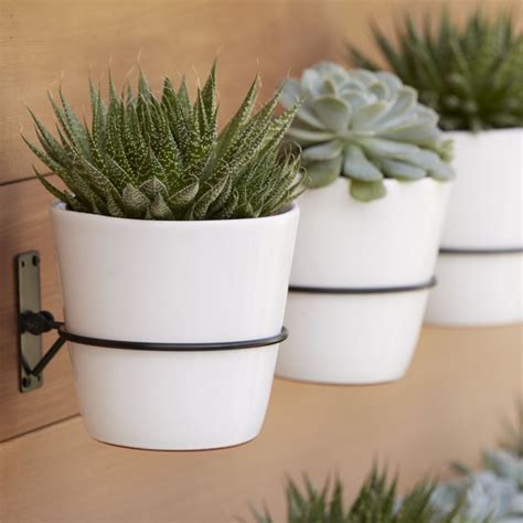 To water, remove frame from the wall, lay flat, water lightly, and let soil drain before hanging up again. 20 Pretty Pots to Refresh Your Succulents