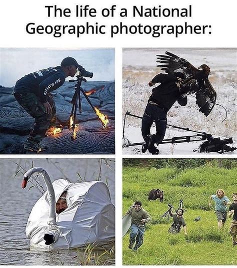 National Geographic Photographer Funny Memes Funny Pictures Memes