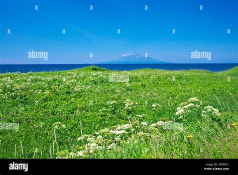 Rishiri Island And Sarobetsu Plain Stock Photo Alamy