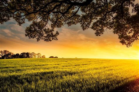 Sunset Dusk Meadow Free Photo On Pixabay Landscape Photography