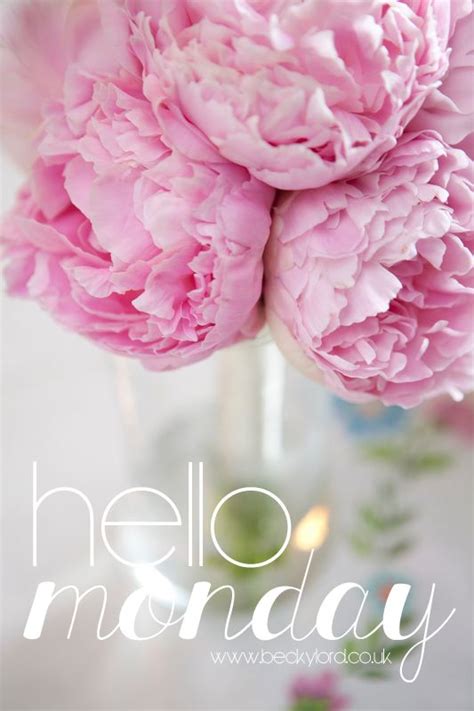 Everyone gets monday blues after a relaxing weekend! hello monday | Hello monday, Monday greetings, Good ...