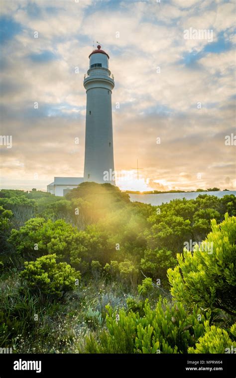 Cape Nelson White Lighthouse Backlit At Sunset Stock Photo Alamy