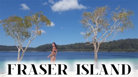 Fraser Island Is So Beautiful Backpacking Australia Youtube