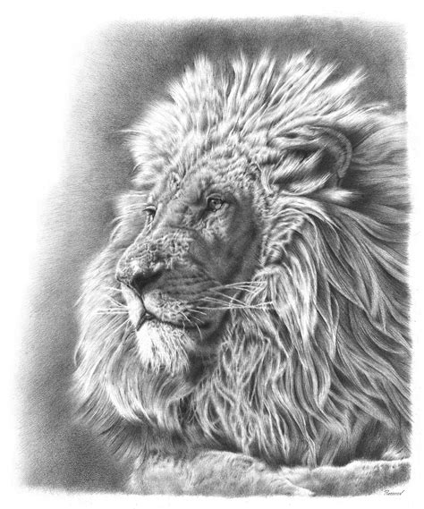Hi kids here you will learn to draw and paint a lion wild animals from jungle, enjoy! Remrov - Artist ExtraordinaireCreating Animal Awareness