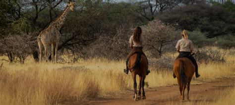 Horseback Safari Must Read For First Time Riders Tourradar