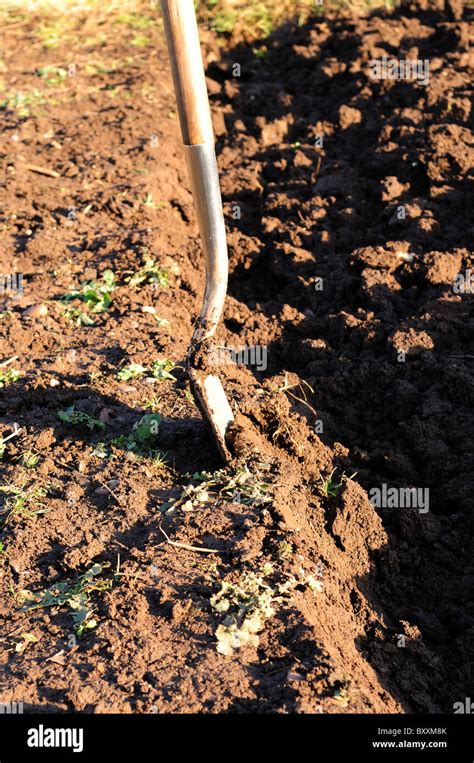 Muddy Spade Hi Res Stock Photography And Images Alamy