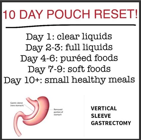 10 Day Pouch Reset Bariatric Surgery Sleeve Gastric Sleeve Sleeve
