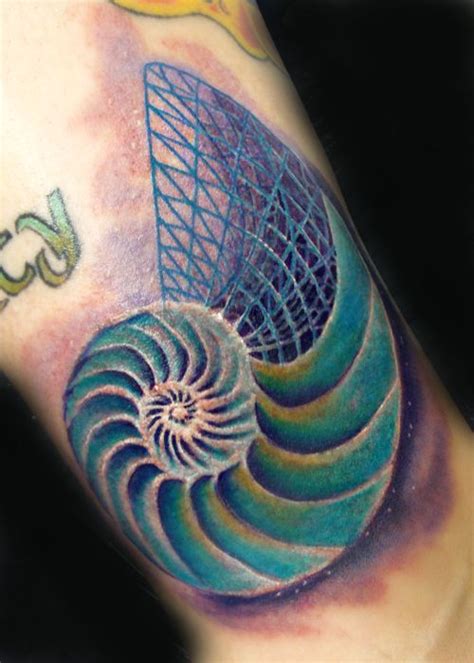 Nautilus By Iamvalo On Deviantart Nautilus Tattoo Tattoos Cool Tattoos