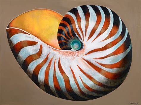 Paintings By Tracy Effinger Upton Nautilus Shell On Cappuccino