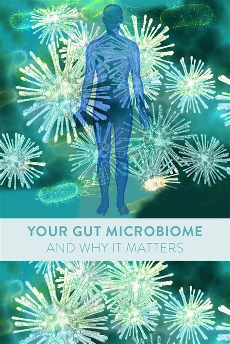 Your Gut Microbiome And Why It Matters Luvele Us