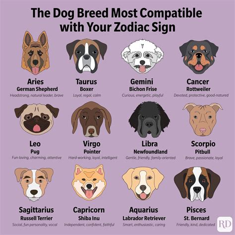 The Best Dog Breed For You Based On Your Zodiac Sign Flipboard