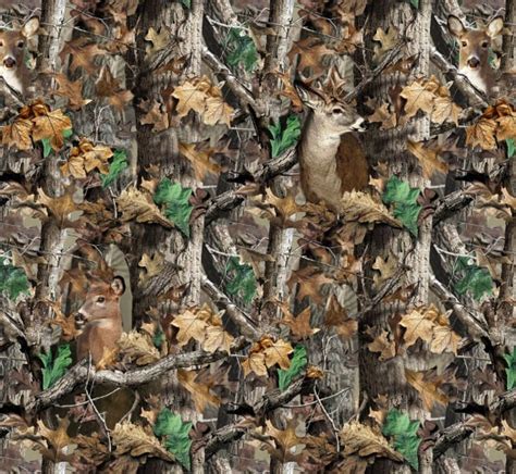 Camo Deer Wallpapers Wallpapersafari
