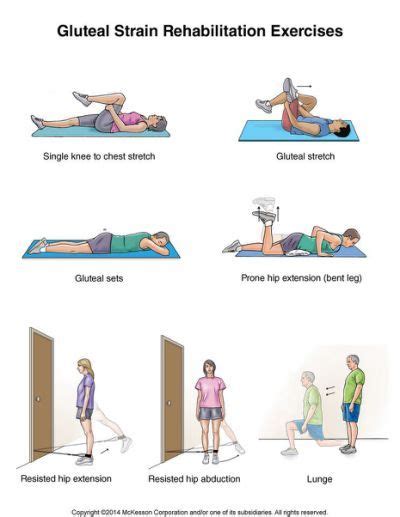 Exercise For Groin Strain Yahoo Search Results Rehabilitation