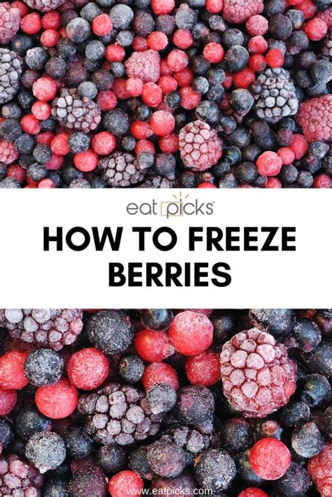 How To Freeze Berries Eat Picks