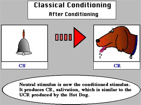 Educational Psychology Interactive Classical Conditioning