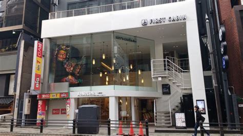 #capsulehotel#japan adanya hotel kapsul seperti ini memberikan angin segar terhadap pelancong atau wisatawan saat berlibur ke jepang. First Cabin Akasaka: Luxury Capsule Hotel | Tokyo Cheapo