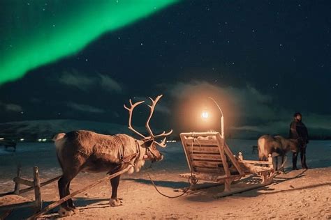 Top Northern Lights Experiences In Norway Kimkim