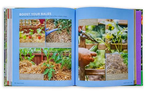 After your cannabis seeds germinate, they'll emerge from the soil as seedlings. GrowVeg: The Beginner's Guide to Easy Vegetable Gardening Book