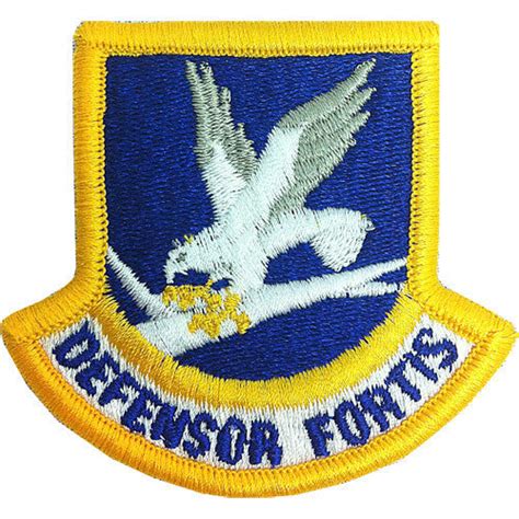 Usaf Security Force Enlisted Full Color Patch Vanguard Industries