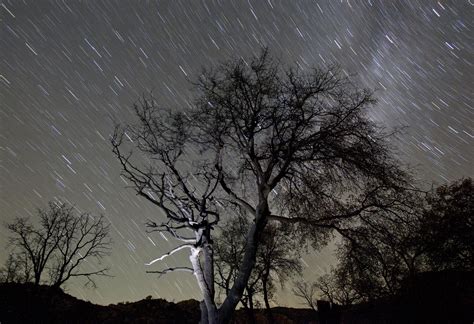 Horoscope Today: Zodiac’s luckiest day for the week of May 1, 2023